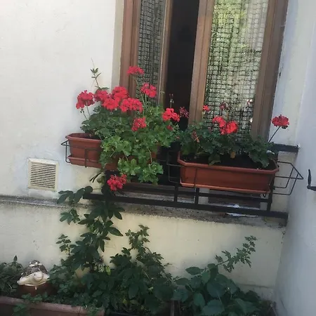 Studio Rue Lepic Apartment
